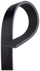 Gates K070610 Micro-V serpentine belt close-up with precise OE-fit for reliable engine drive