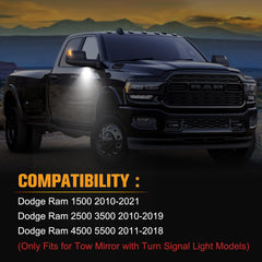 GemPro puddle light driver side adds entry lighting for Ram