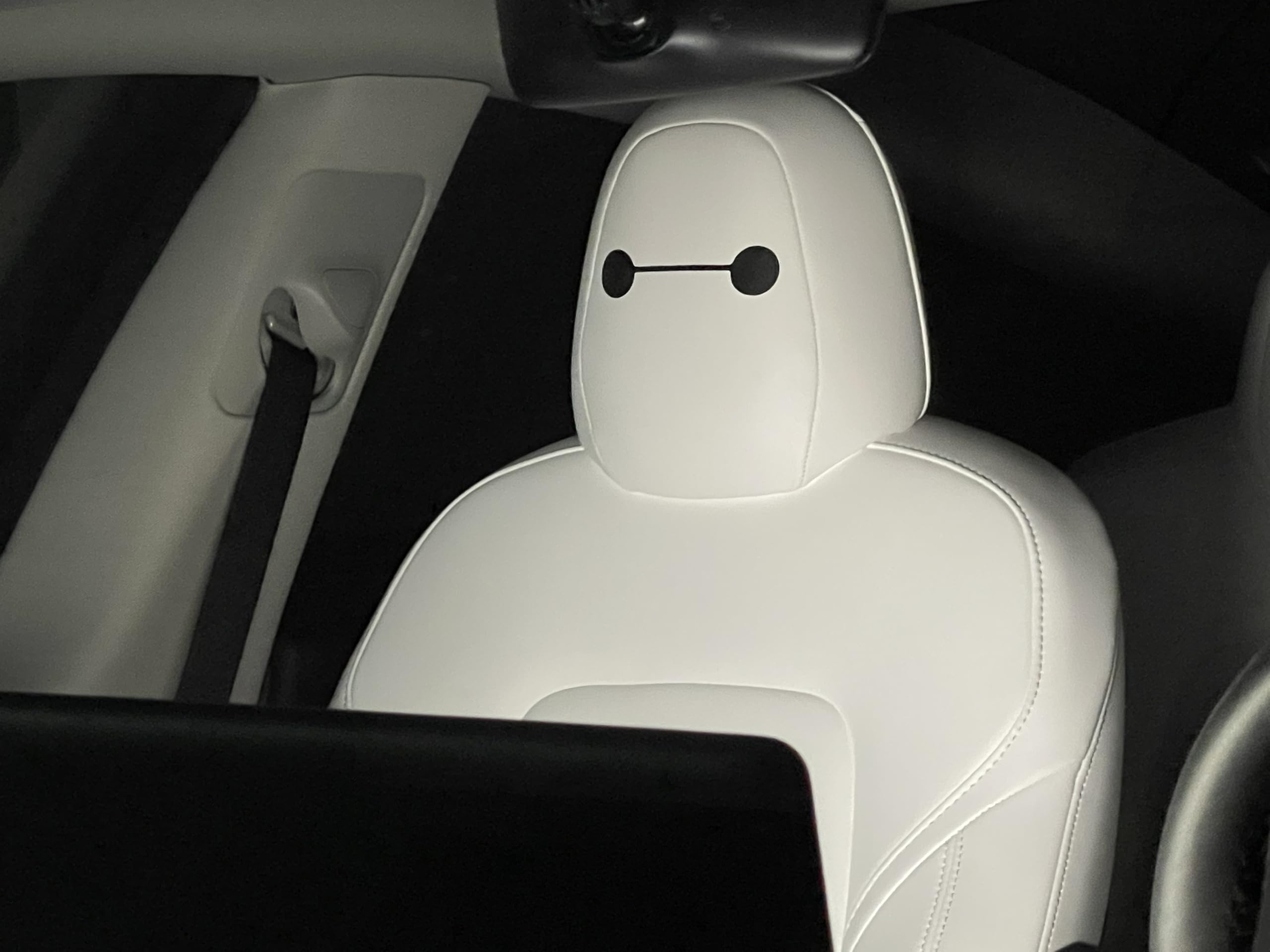 Generic Tesla seat decals compatible with most VR headsets for immersive setups.