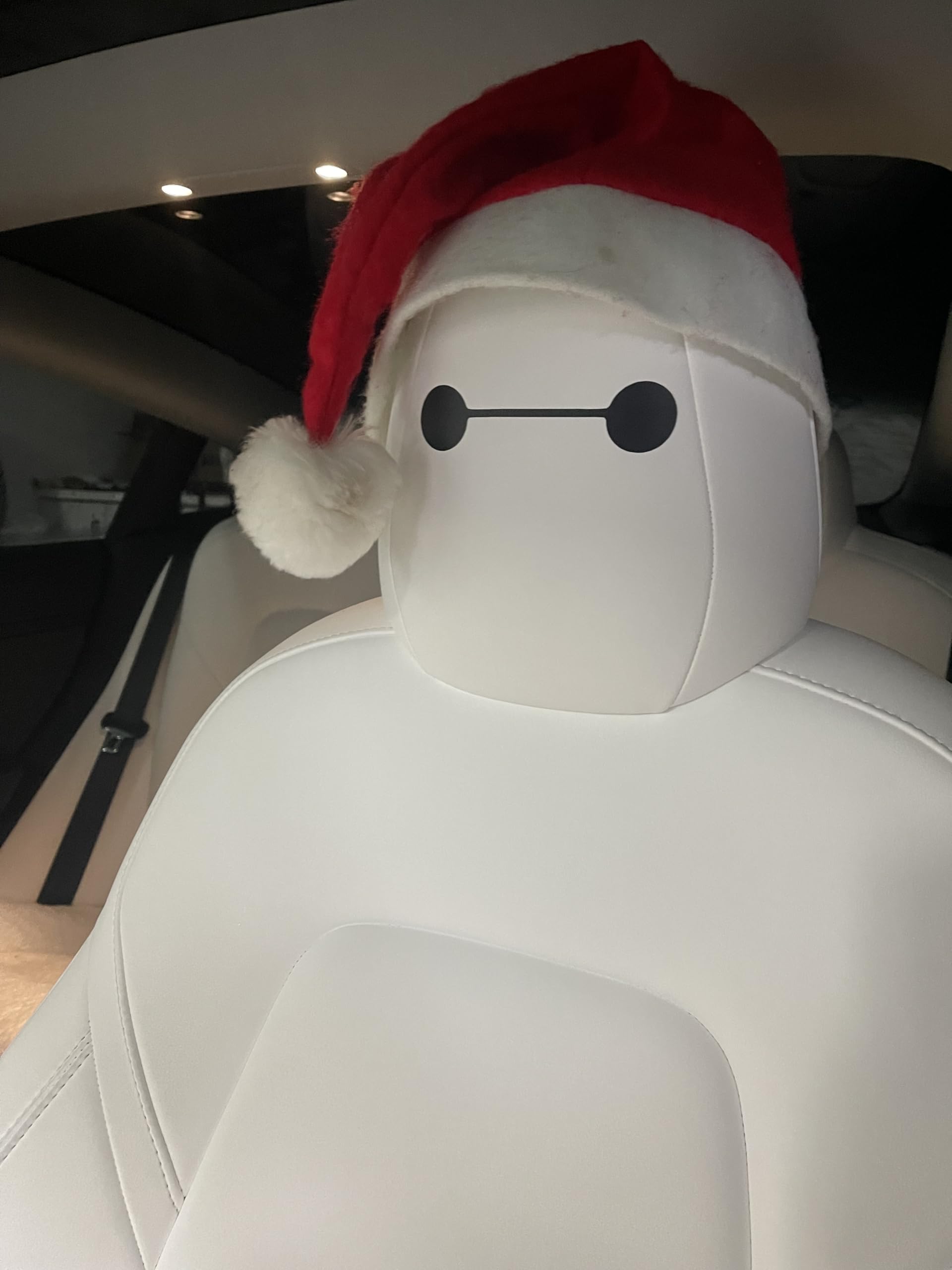 Generic 4.5 by 1 inch vinyl eyes deliver bold accents on seats.