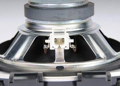 GM Genuine Parts 19116642 speaker assembly close-up for durable, OEM-grade car audio replacement