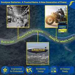 Goodyear GYTX30L label and polarity reveal clear markings for safe hookup.