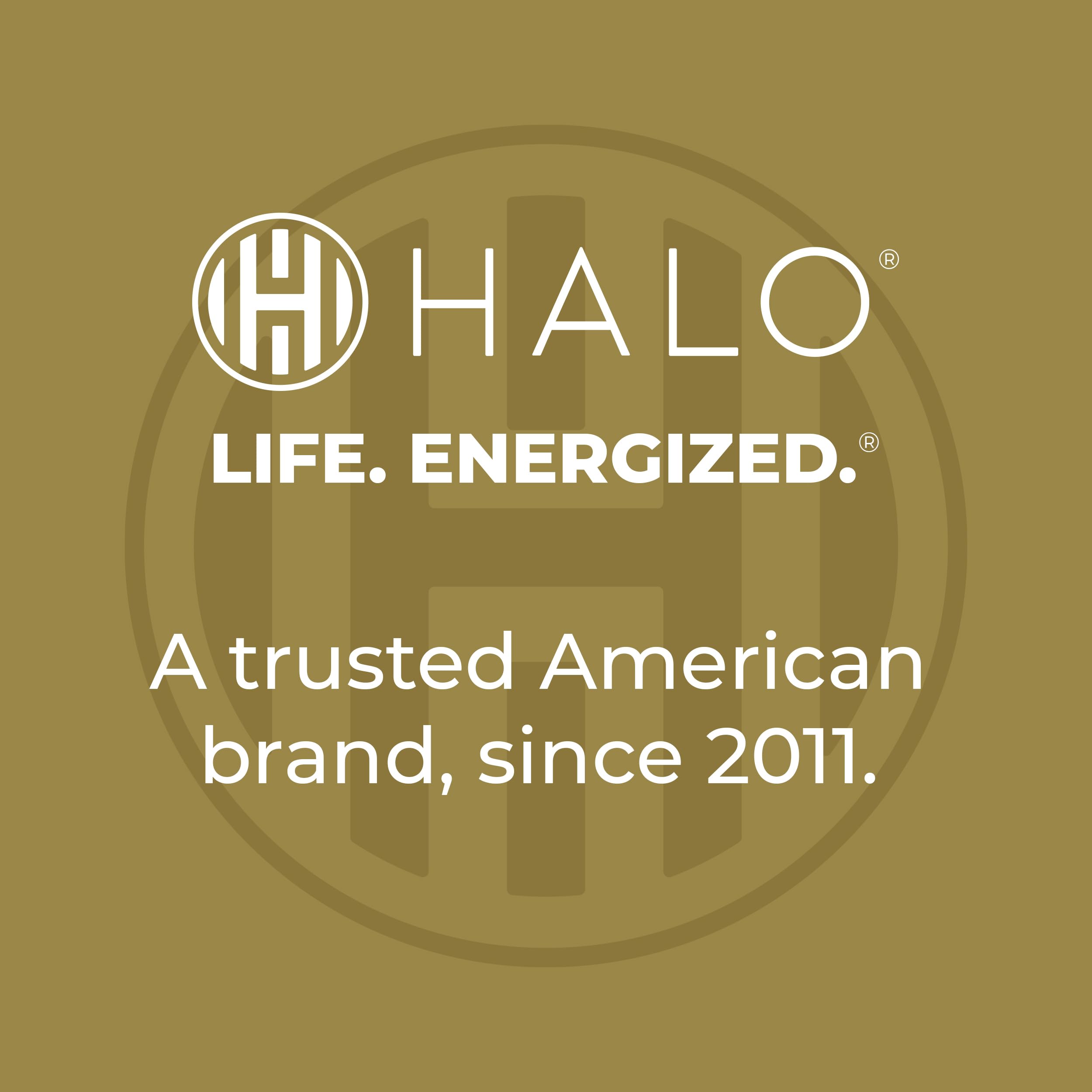 HALO Bolt Air compact design fits in a glovebox for travel readiness.