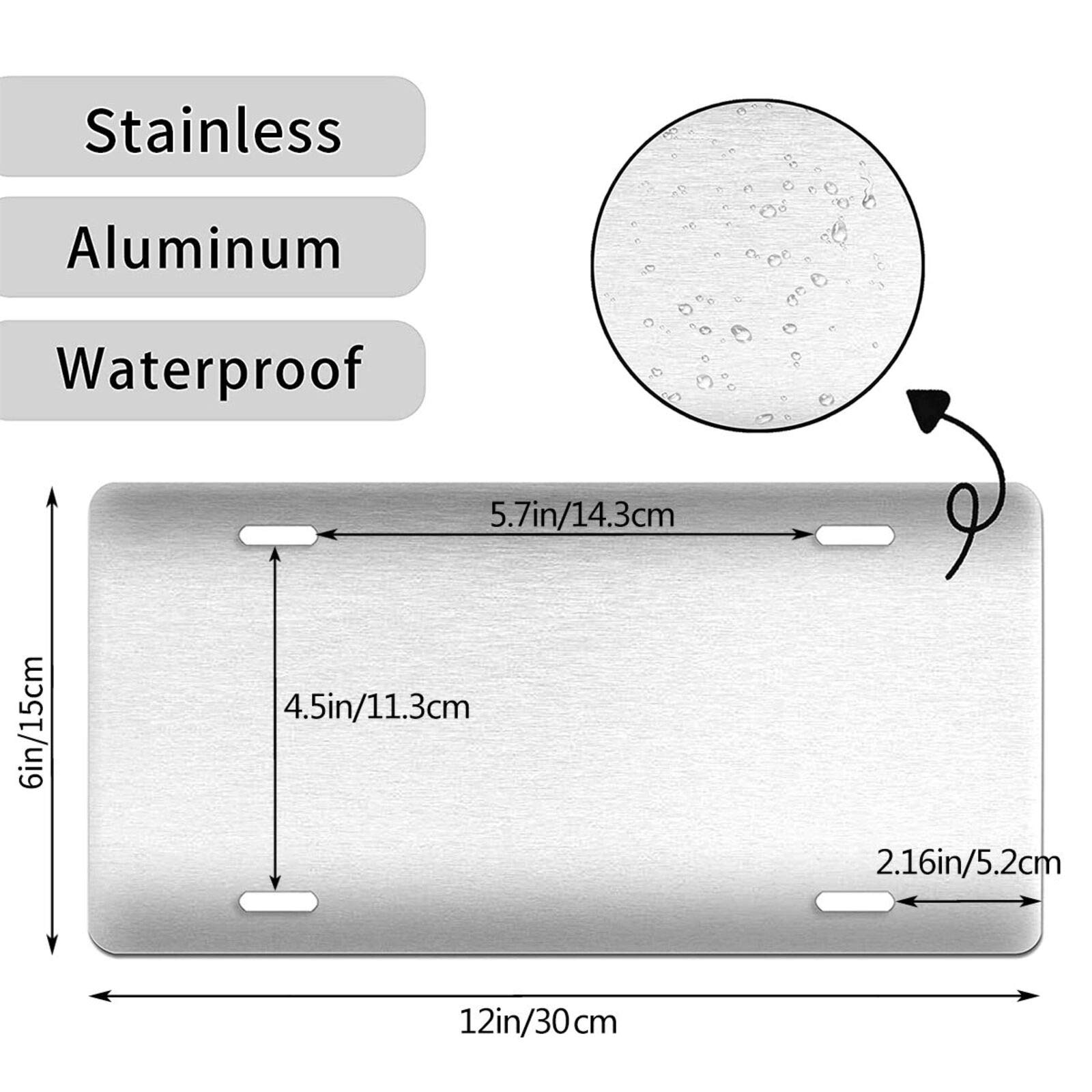 HANGWWZQ rustproof durable car plate for weather resistance