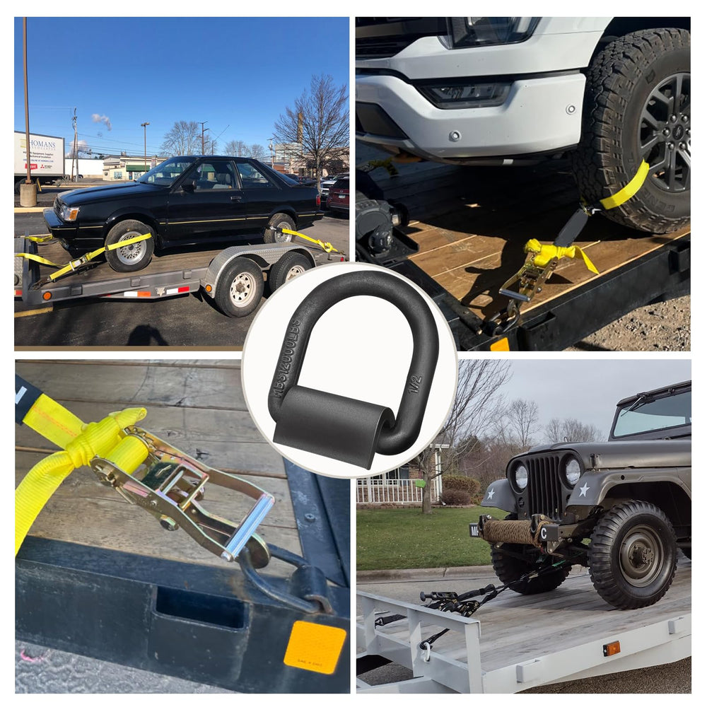 Hedday 12-pack of D rings offers multiple secure anchors for diverse loads