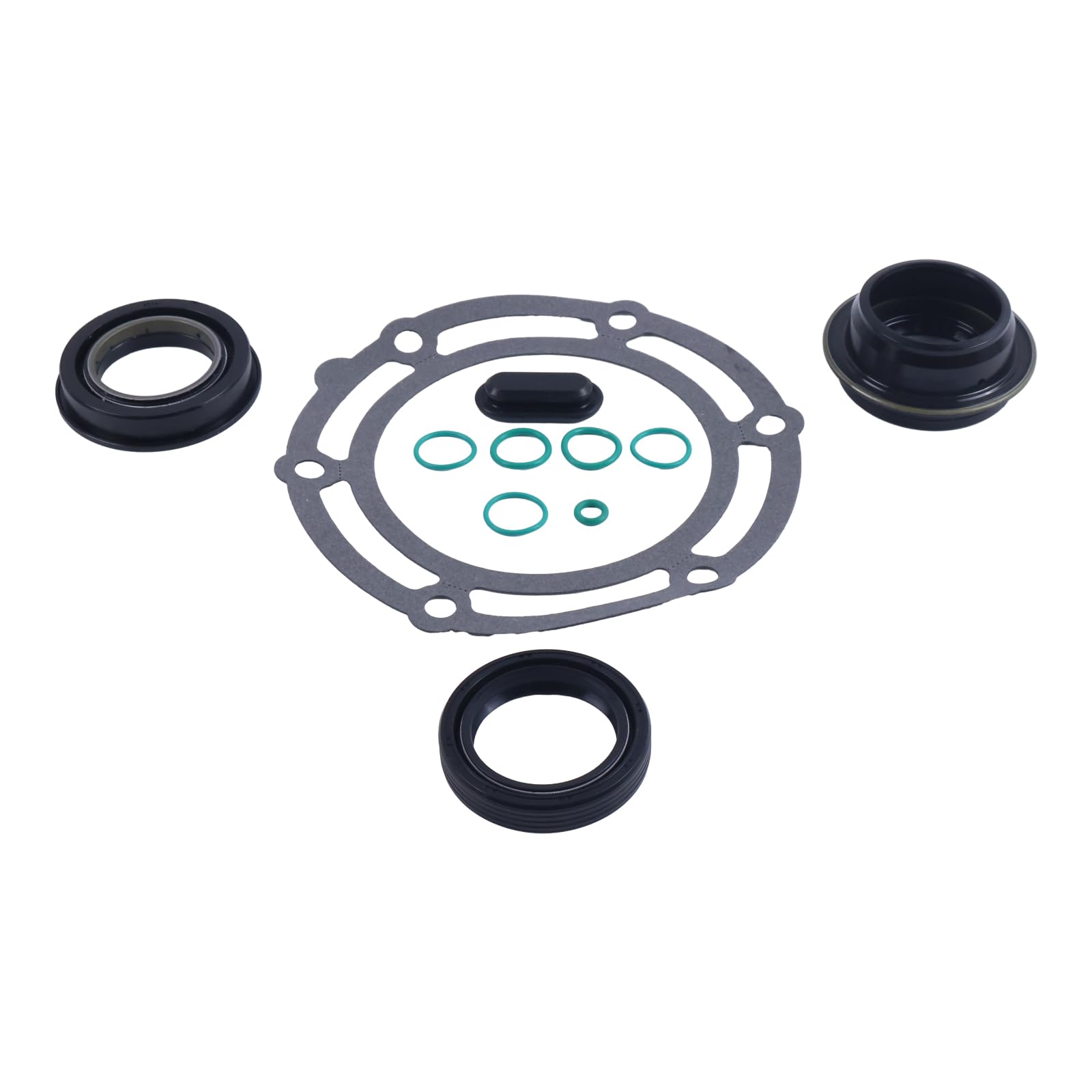 HOLDWELL installation guide image for TSK246 gasket kit on NP246