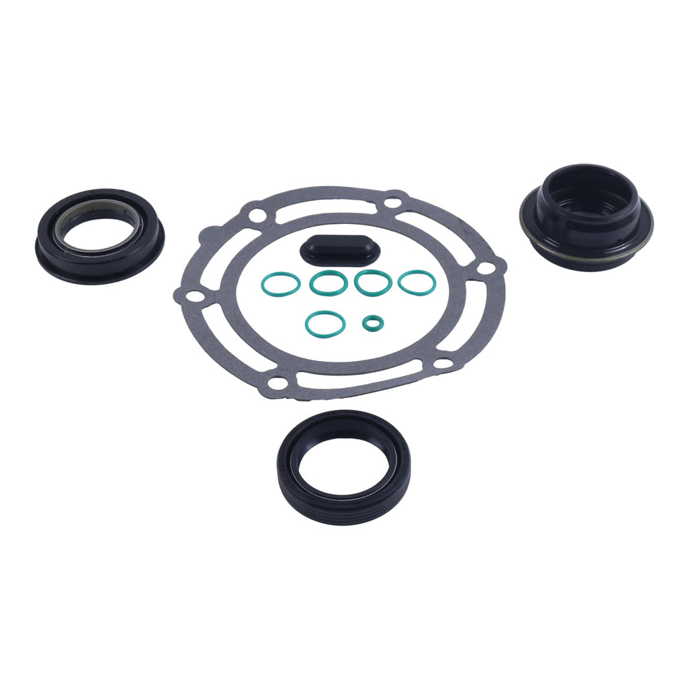 HOLDWELL installation guide image for TSK246 gasket kit on NP246