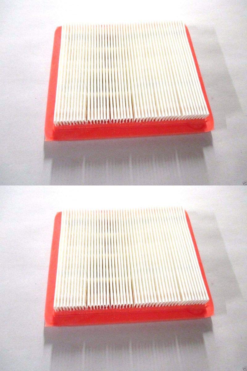 Honda air filter 17211-Z8B-901 pack view; genuine OEM part for GCV engines.