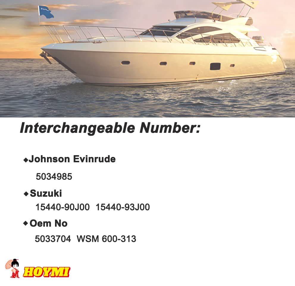 Hoymi 10-micron filtration detail improving fuel cleanliness