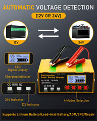 Huiaipaic 12V/24V compatibility graphic for diverse batteries outline.