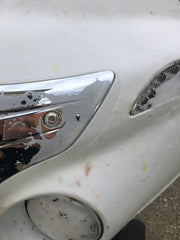 Hunter Detail Bug Kutter anti-fog feature helps reduce glare on windshields
