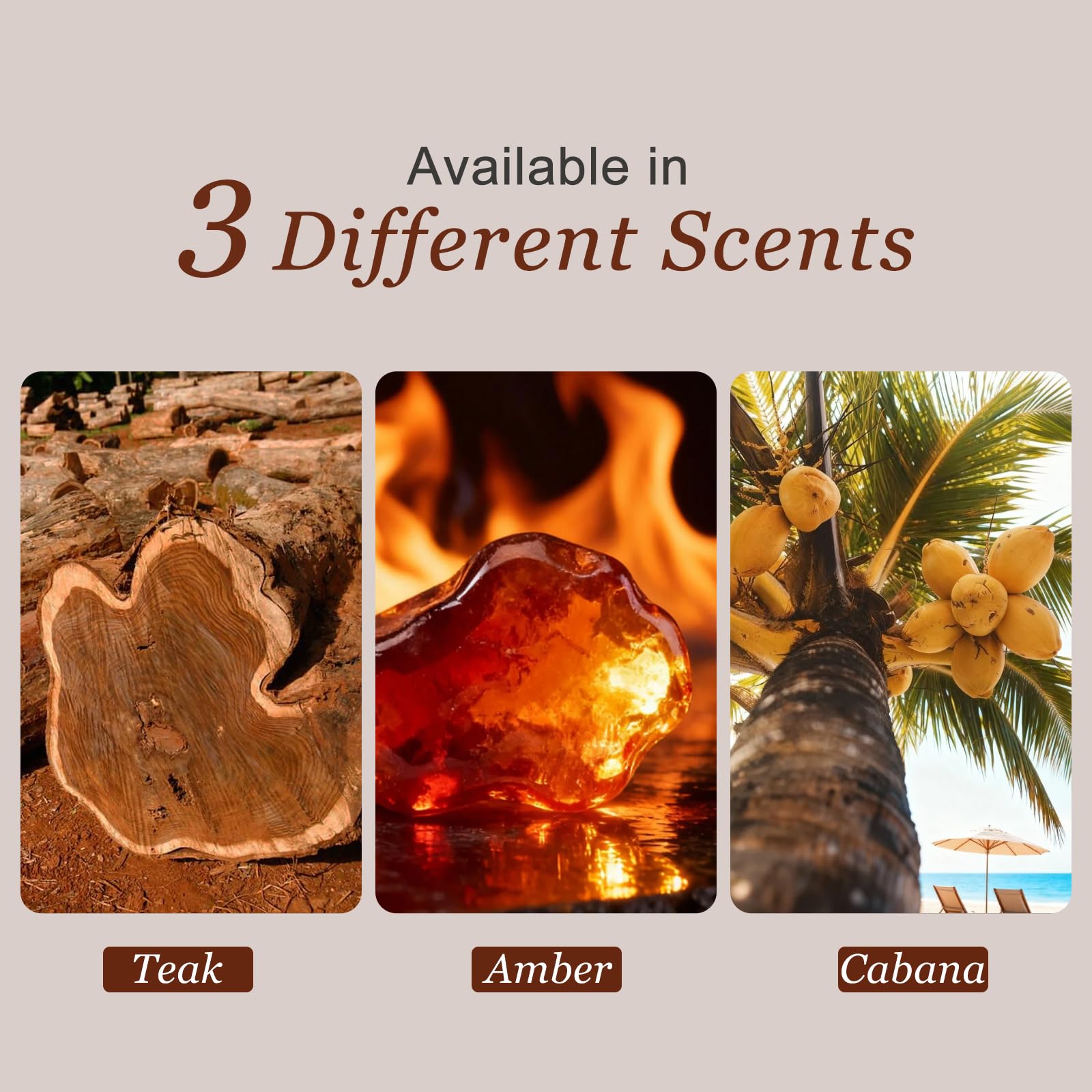 IENIN Amber wood block freshener enhances car cabin aroma