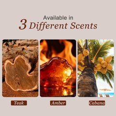 IENIN Amber wood block freshener enhances car cabin aroma