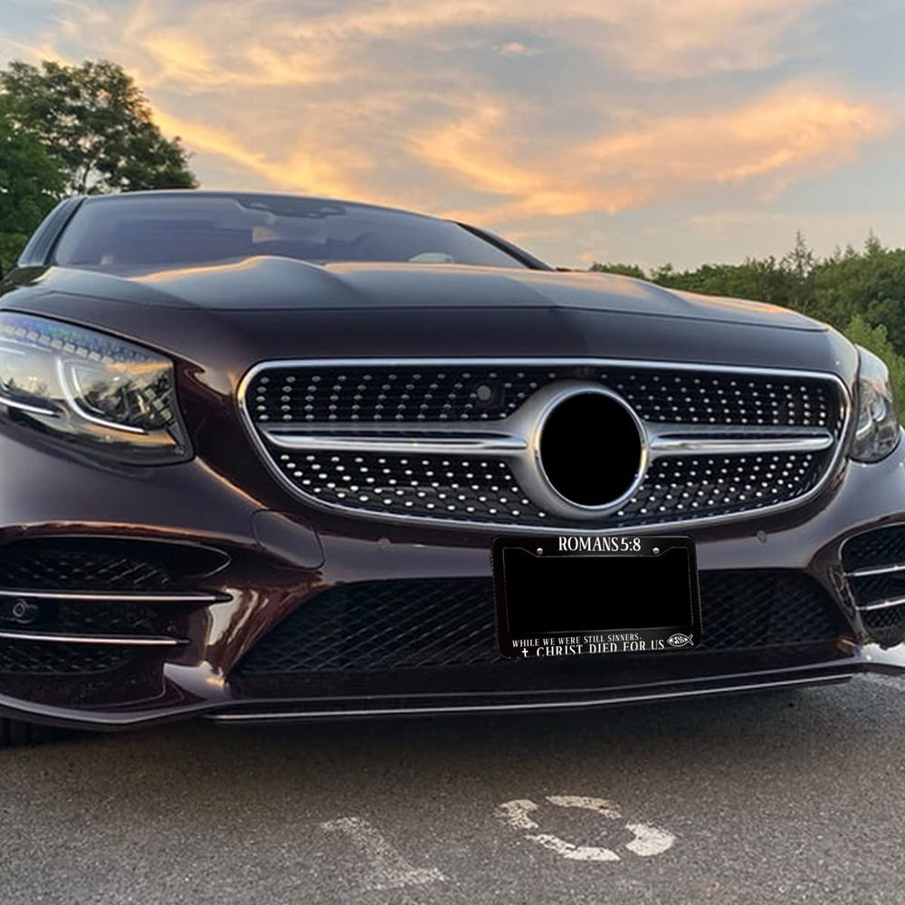 Easy-clean Invincibleframe stainless license plate frame for maintenance