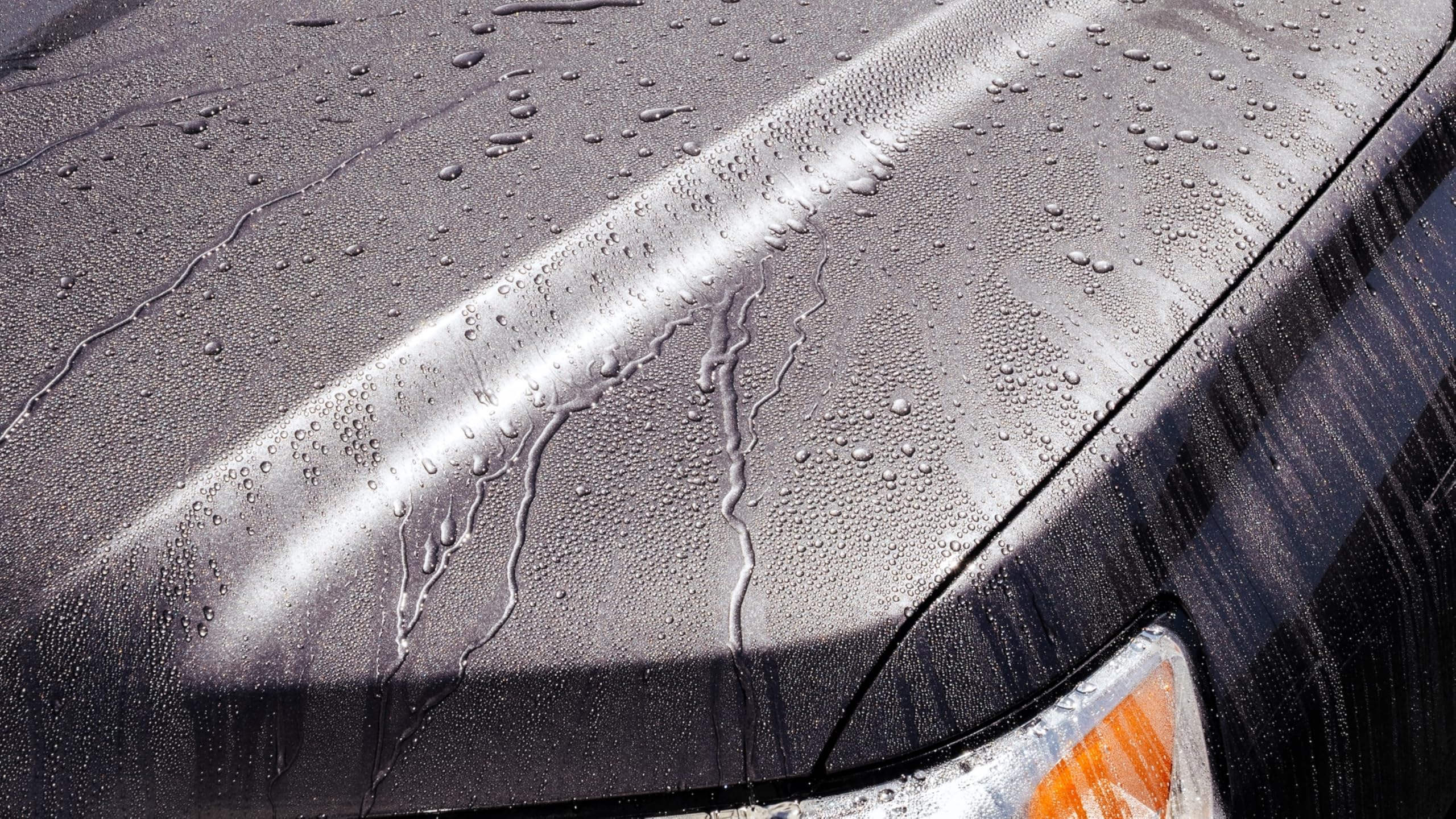 Jimbos Tough as Shell ceramic spray on paint surface demonstrates versatile protection.