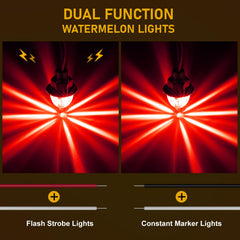 JZYZQBX mini watermelon lights front view highlighting high-brightness LED chips