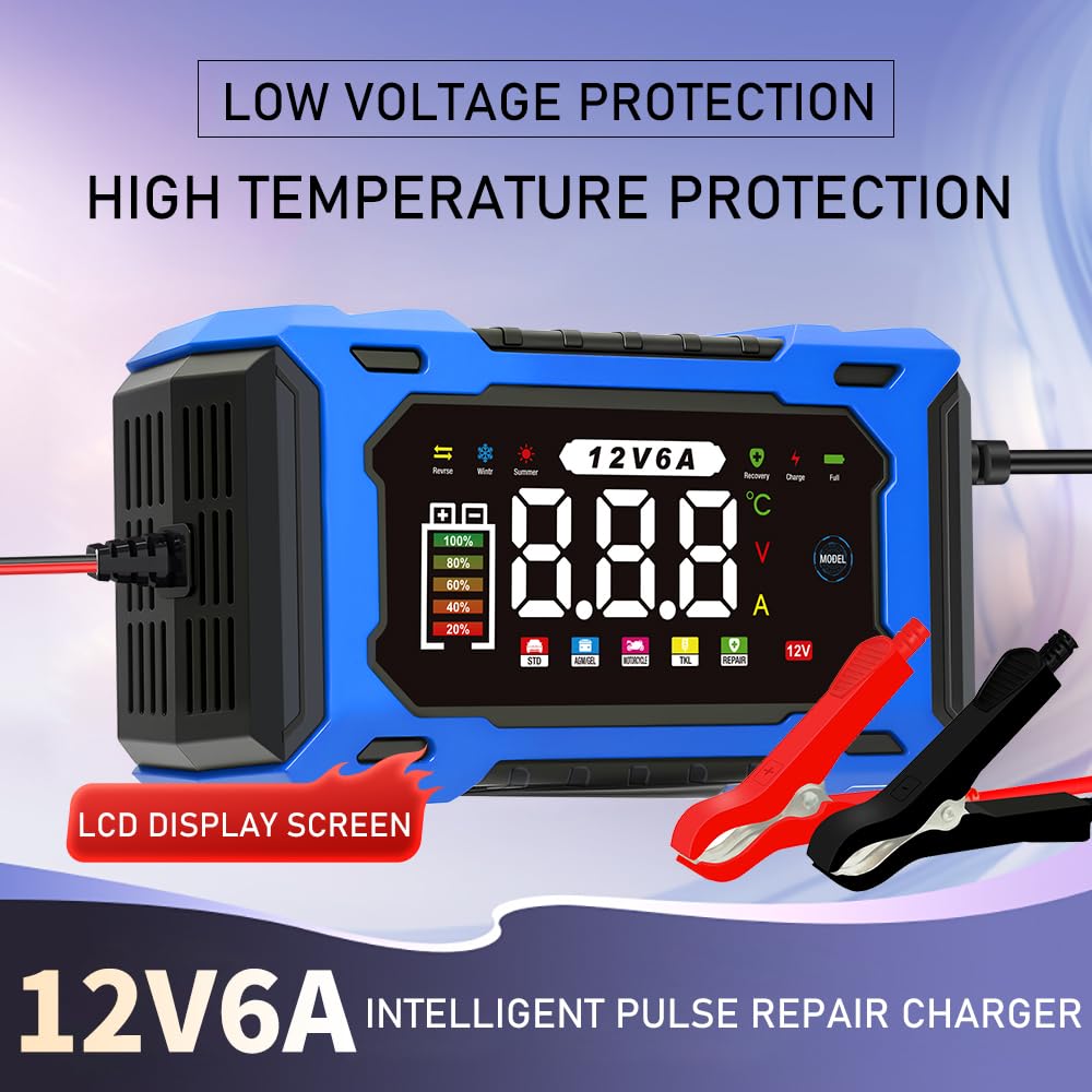 Desulfator circuitry in Kalonwell charger reviving aging batteries