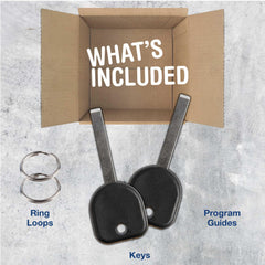 KeylessOption B120-PT remote fob back view with buttons visible