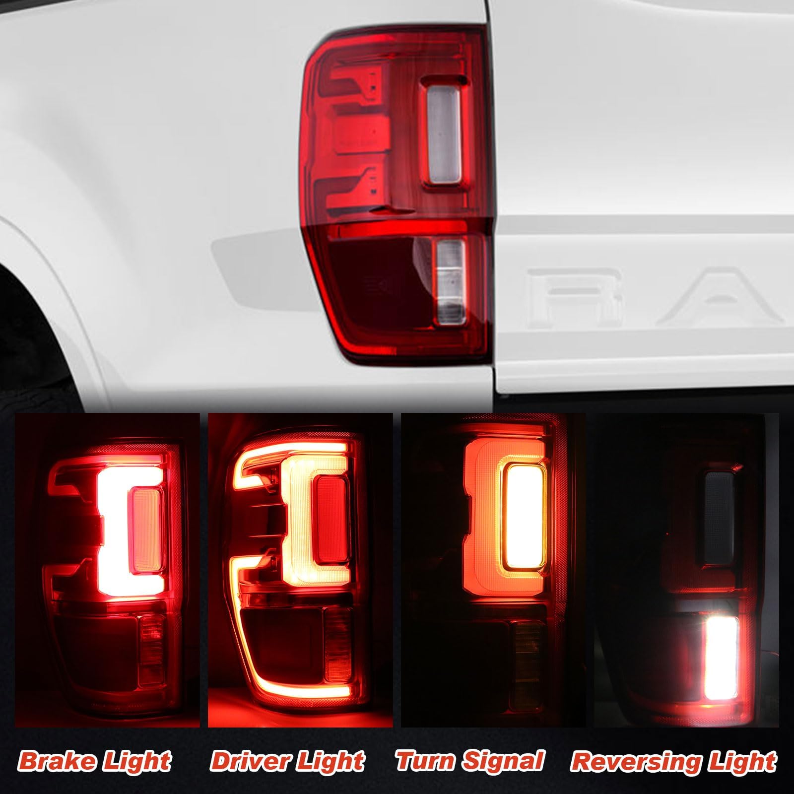 Lathsy taillight close-up shows durable housing and lighting details.