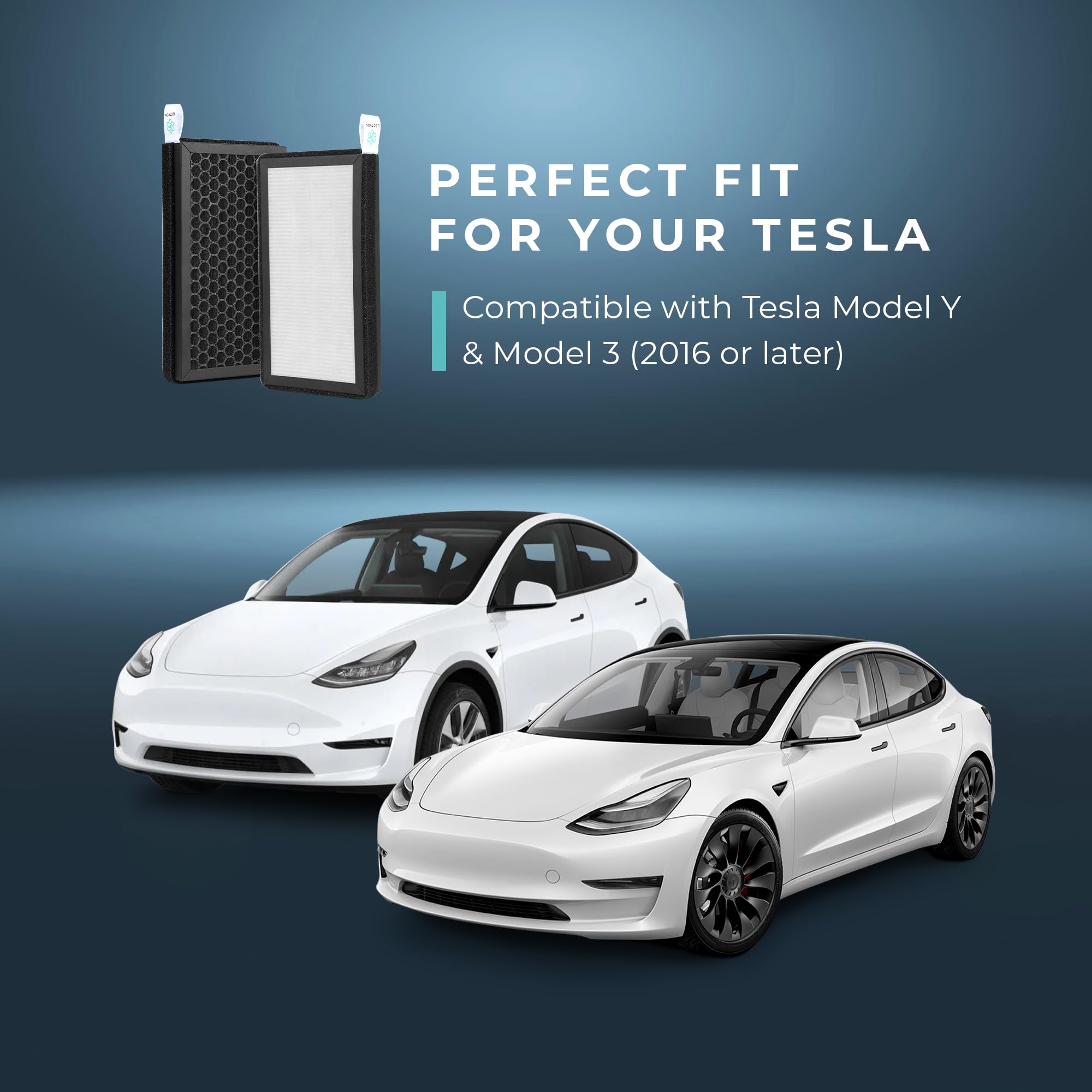 Lectron 2-pack cabin filters ready for easy replacement in Tesla