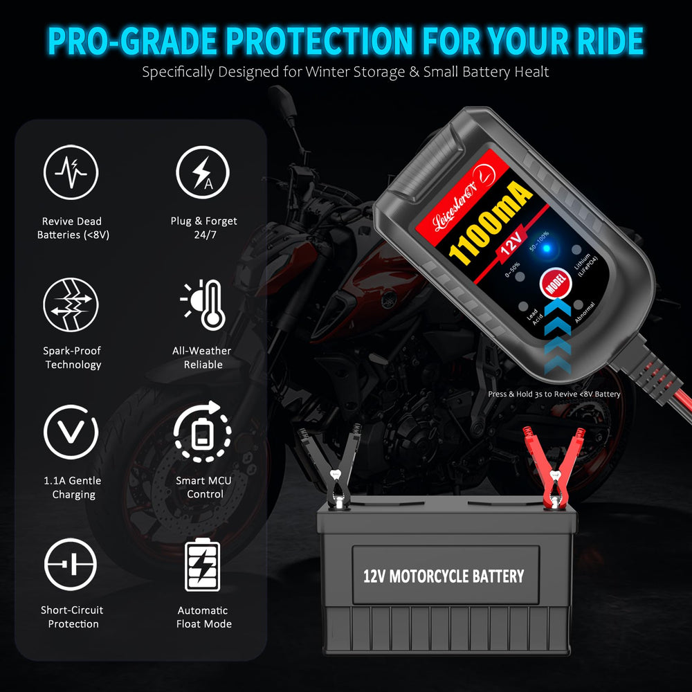 LEICESTERCN auto float maintenance keeps batteries healthy.