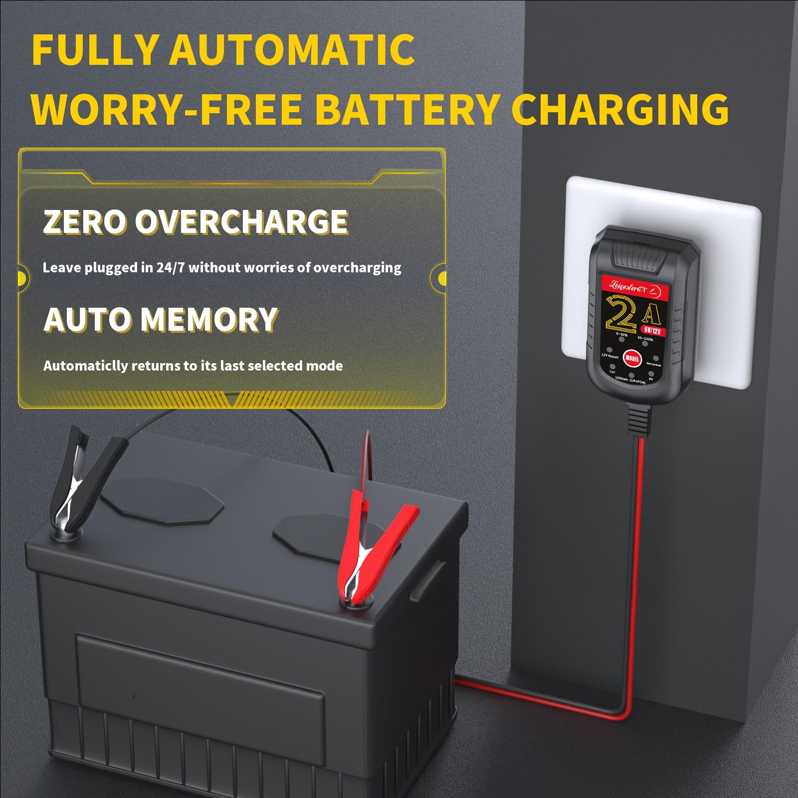 LEICESTERCN battery charger mode switch used to select 6V or 12V and chemistries