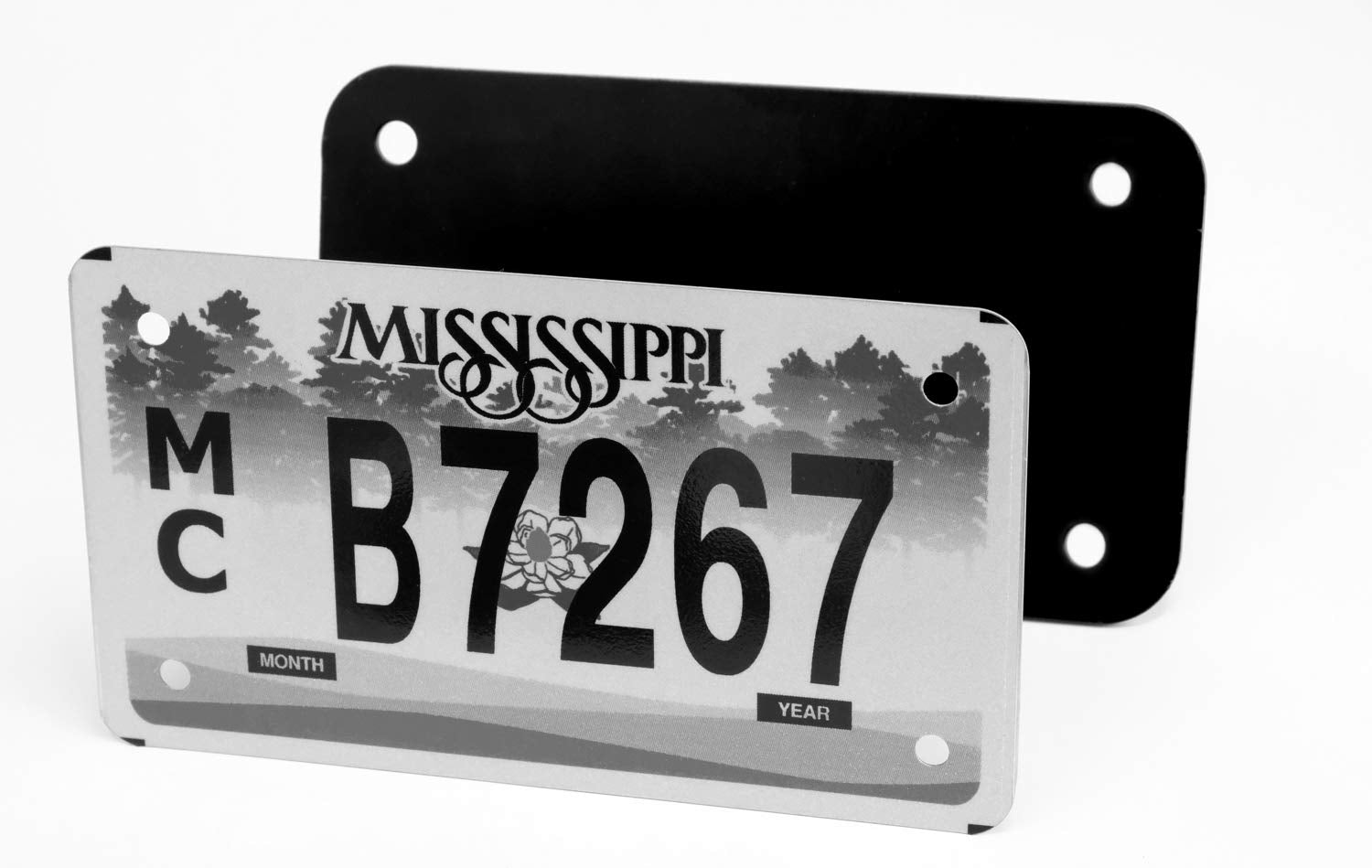 LFPartS black stainless frame fits 7x4 inch plates and installs easily