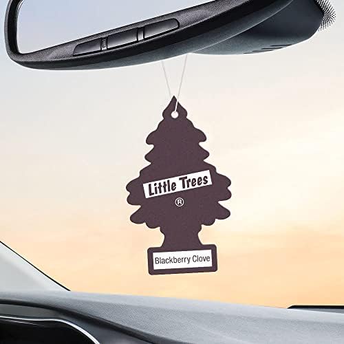 Little Trees hanging tree on a car vent for quick scent.