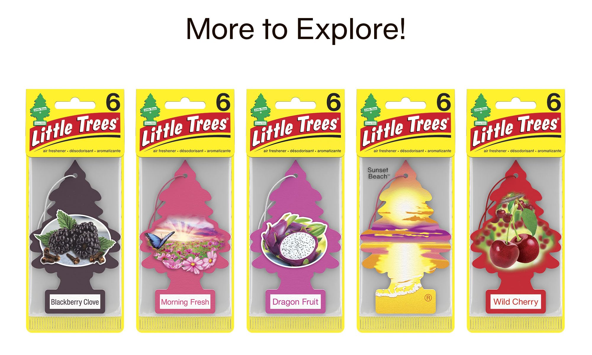 LITTLE TREES Cherry Blossom packaging closeup showing 24-count set for home and auto use.