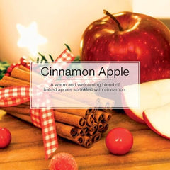 LITTLE TREES Cinnamon Apple product shot highlighting versatile refresh in car and room