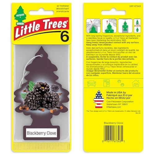 Little Trees close-up blackberry fragrance highlighting juicy notes.