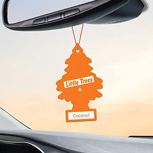 LITTLE TREES Coconut pet odor area example promoting quick refresh.