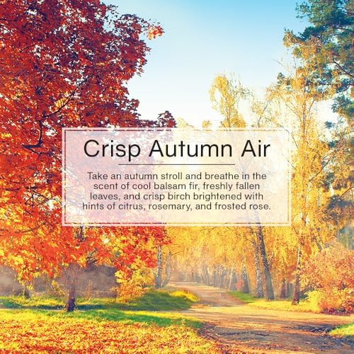 LITTLE TREES crisp birch and citrus note freshens drives