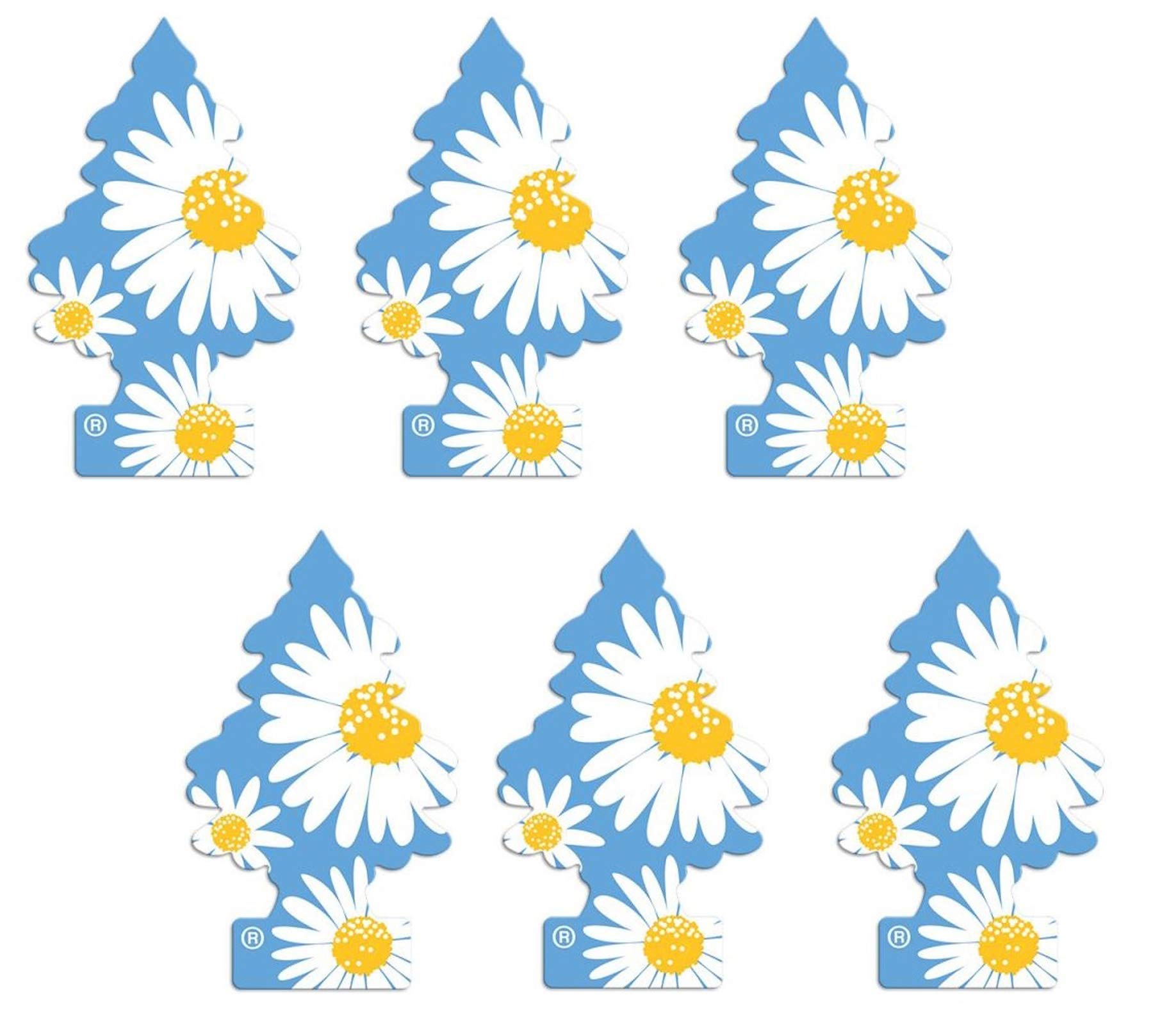 LITTLE TREES Daisy Fields hanging tree front view for car scent enhancement up to 30 days.