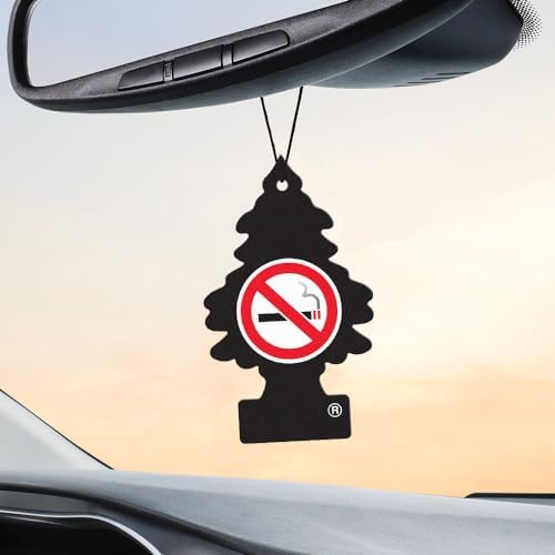 LITTLE TREES hanging tree in car provides constant aroma.
