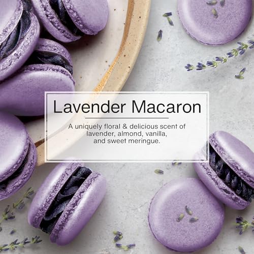 Little Trees Lavender Macaron home decor scent for living spaces and laundry rooms.