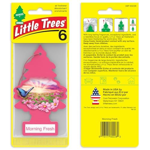 LITTLE TREES Morning Fresh car interior close-up showing hanging tree design.