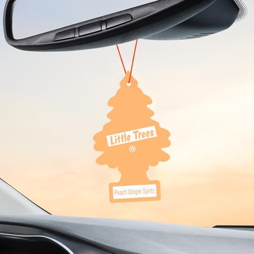 Little Trees Peach Ginger Spritz hanging tree on dash adds immediate fragrance