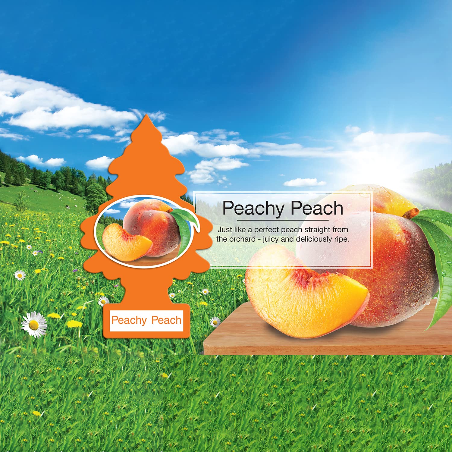 Little Trees Peachy Peach cardboard tree design adds scent to spaces.