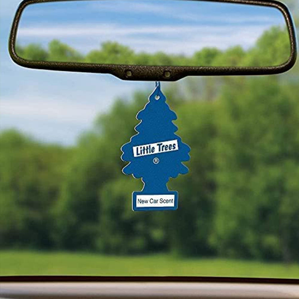 Little Trees recapture new-car feeling in a bright, inviting car interior.