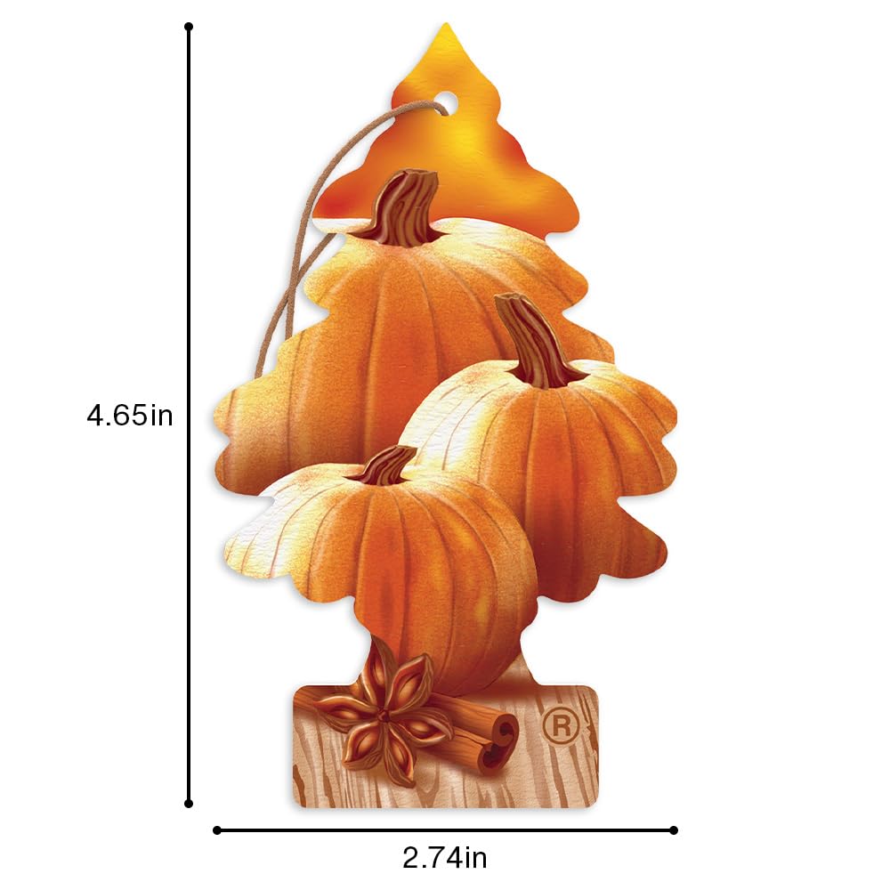 LITTLE TREES USA-made quality close-up highlights premium air freshener