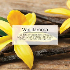 LITTLE TREES Vanillaroma fragrance close up with vanilla and coconut notes
