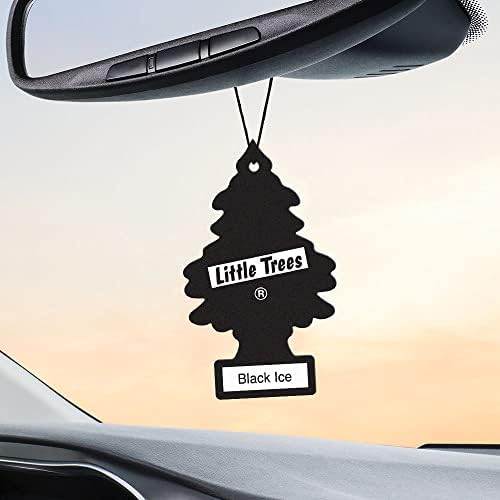 Assorted LITTLE TREES fragrances display for home and auto scent selection.