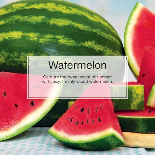 LITTLE TREES Watermelon car interior shows fresh scent on the go