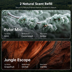 Littlelucky jungle-escape-scent-refill brings earthy notes to your drive.