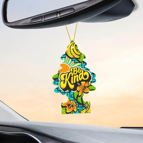 LITTLE TREES Made in USA label signals premium fragrance quality.
