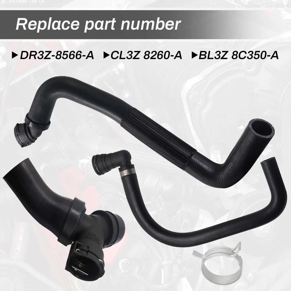 LoloWheat kit for Ford F-150 5.0L demonstrates model-year compatibility (2011-2020)