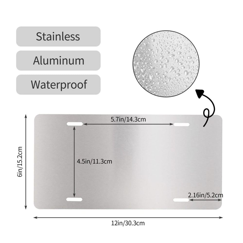 LRCCJS Florida flag plate weatherproof material resists fading for outdoor use