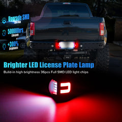 LUDARM 6500K white light beam for uniform plate illumination