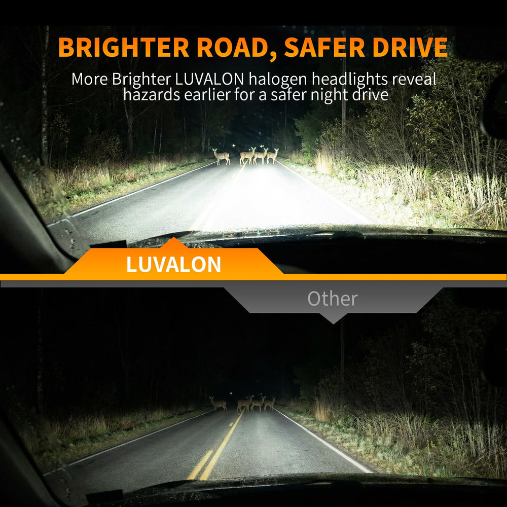 LUVALON 9003/H4 beam pattern on road shows wider visibility